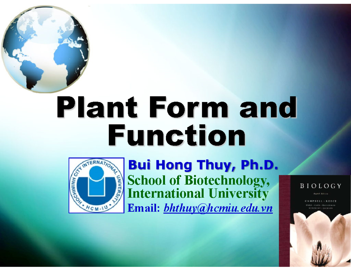 Lecture 13: Plant Form and Function - Structure, Growth, and Morphology ...