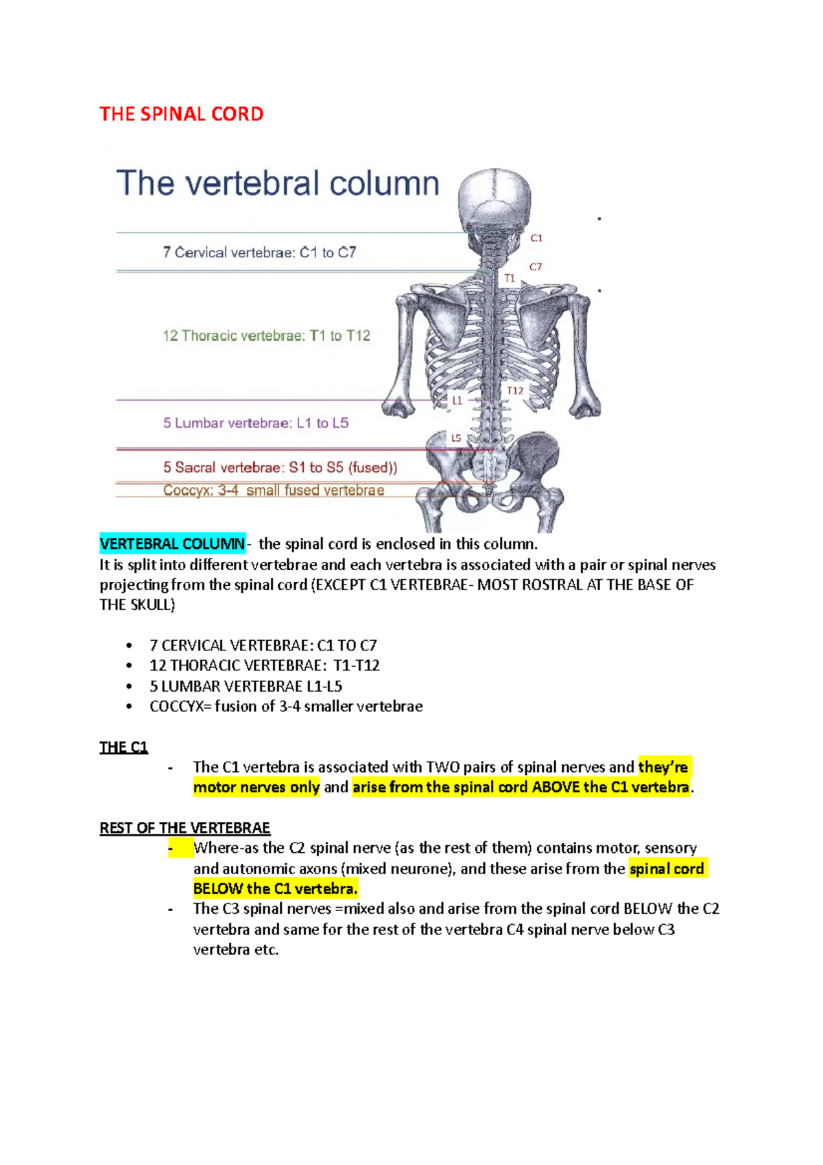 Total Neuroanatomy - Lecture Notes on Spinal Cord Anatomy and Functions ...