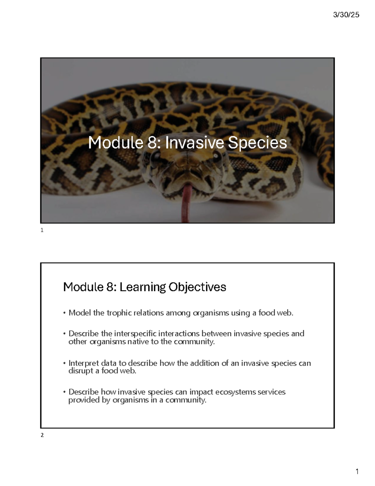 Invasive Species Impact on Trophic Levels in the Everglades Ecosystem ...