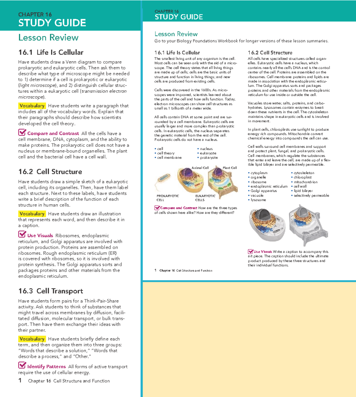 NGBIO20 Chapter 16 Study Guide: Cell Structure & Function - Studocu