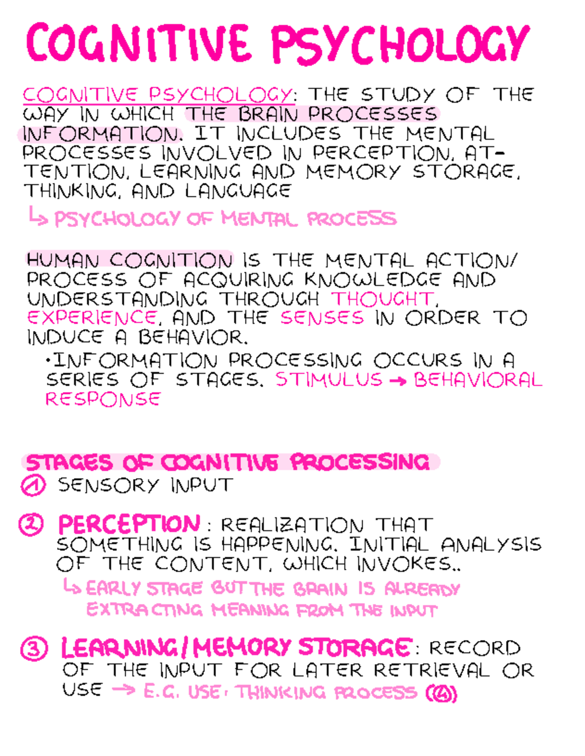 Cognitive Psychology 2: Understanding Mental Processes and Brain ...