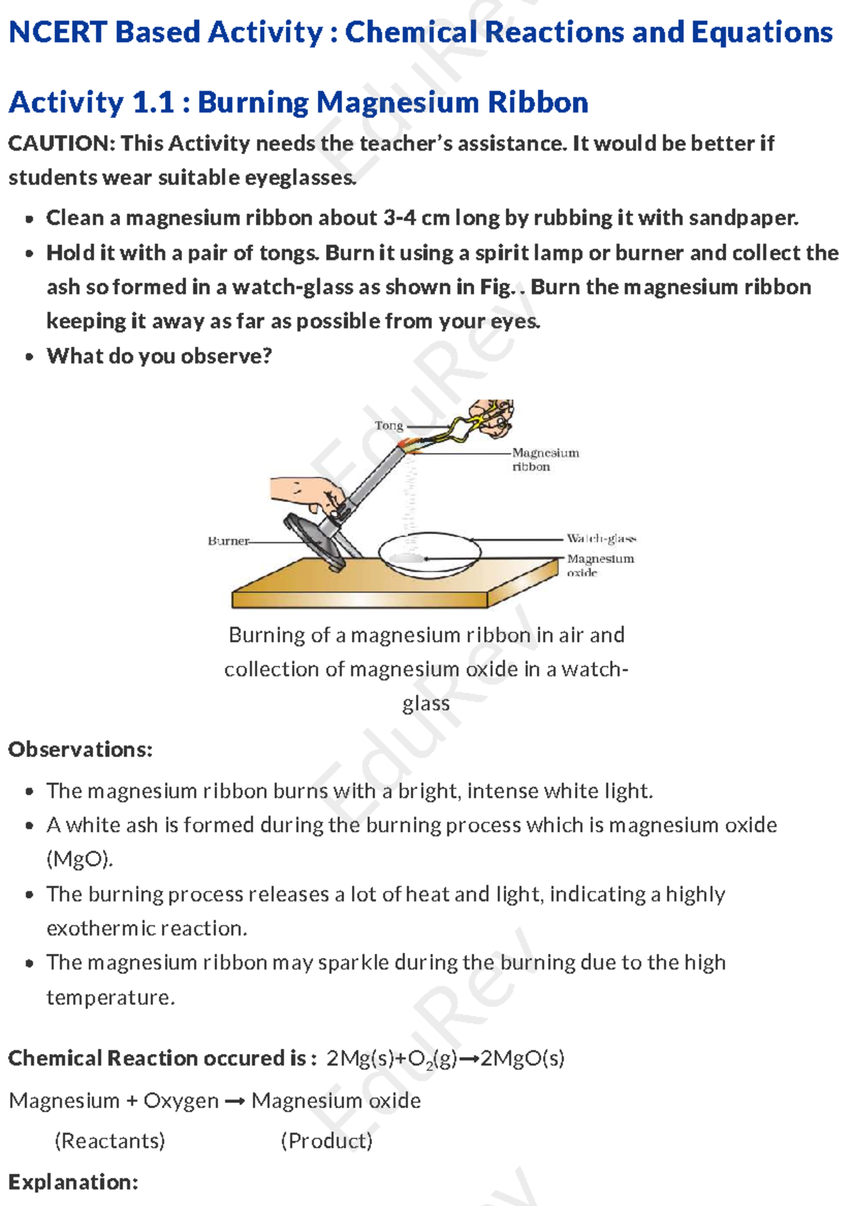Edu Rev NCERT Activity Notes: Chemical Reactions & Equations - Studocu