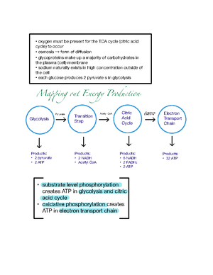 BIO 161 Lab 4 - Exploring Nervous System Function Report - Spring 2025 ...