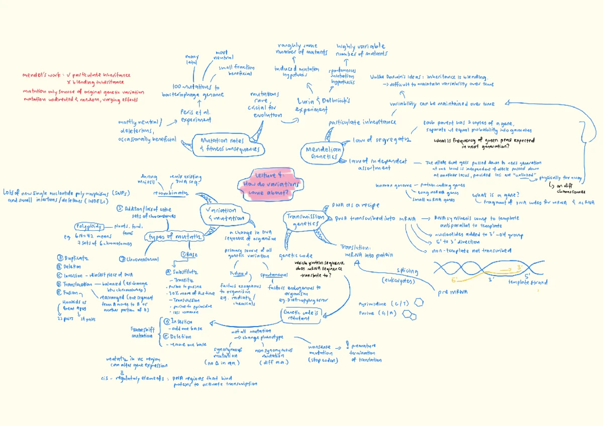 2107 Lecture 3 - Evolution of Life: Summary and Key Concepts - Studocu