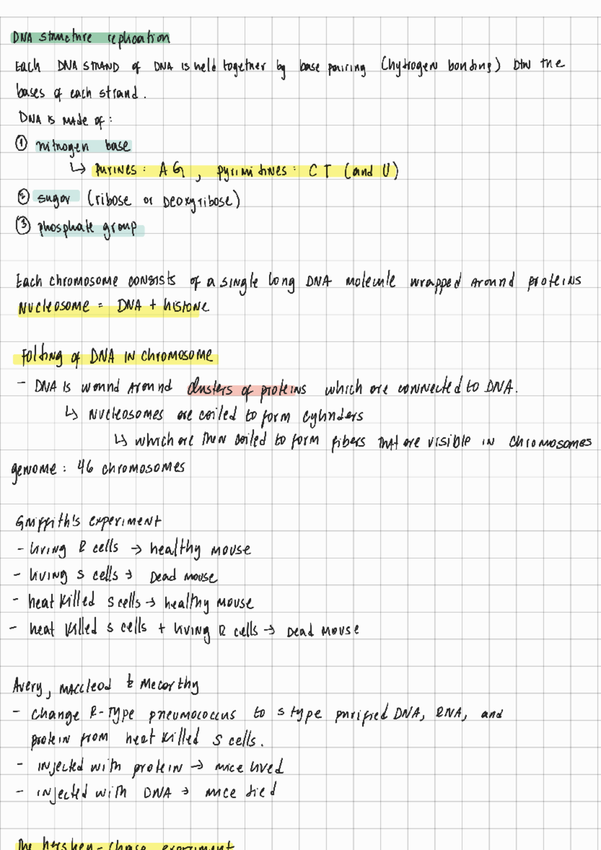 Final Exam Review: DNA Structure, Replication, and Gene Expression ...
