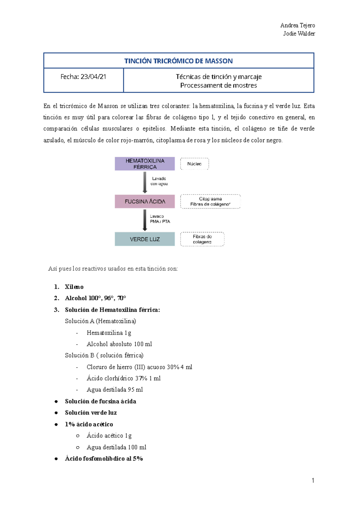 Protocolo Normalizado De Trabajo Protocolo normalizado de trabajo de la tinción tricromico de masson