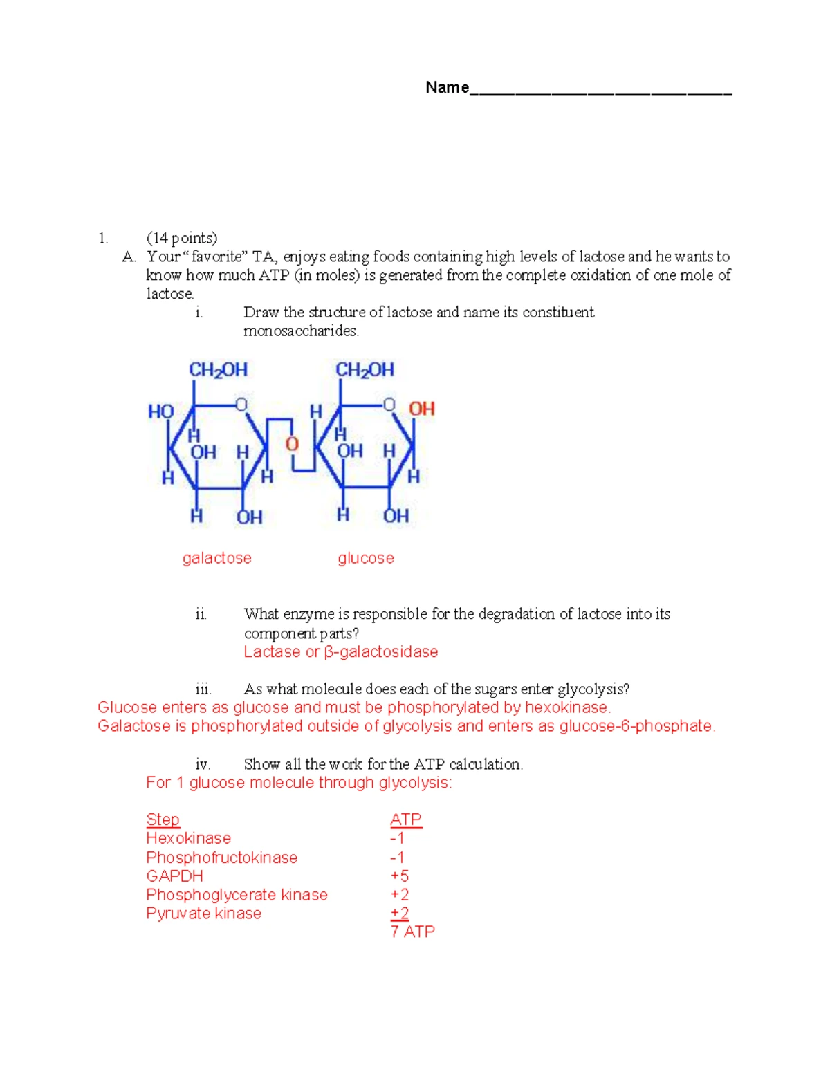 Biochemical Metabolism: Energy Production & Pathway Overview (BIO 101 ...