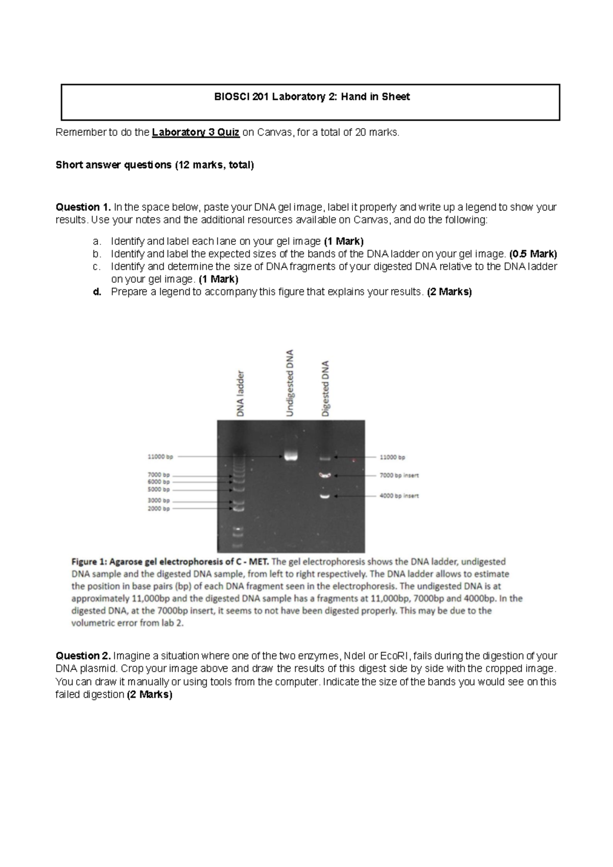 Lab 3 - BIOSCI 201 Laboratory 2: Hand in Sheet Remember to do the ...