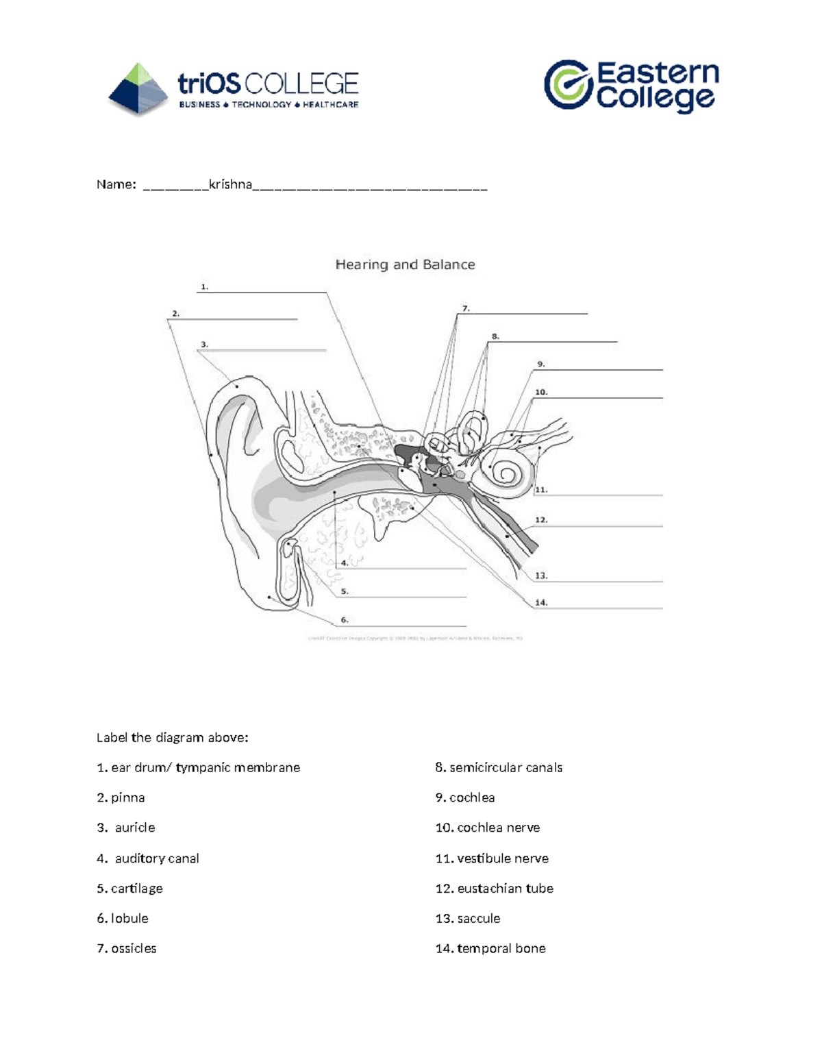 Ear Labelling Diagram - PSW 101 - Name: krishna ...