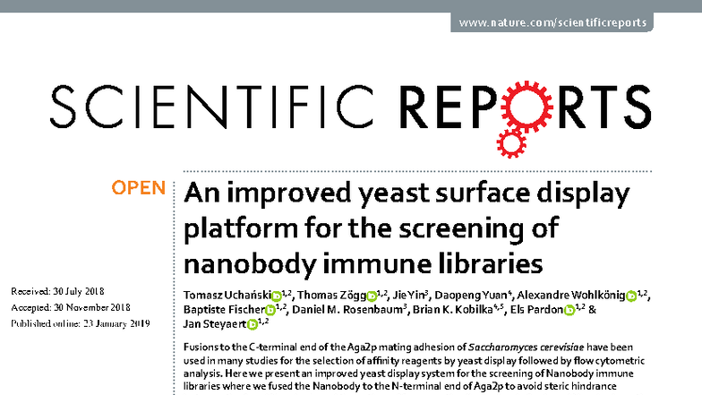 Improved Yeast Surface Display for Nanobody Screening (UCHA2019) - Studocu