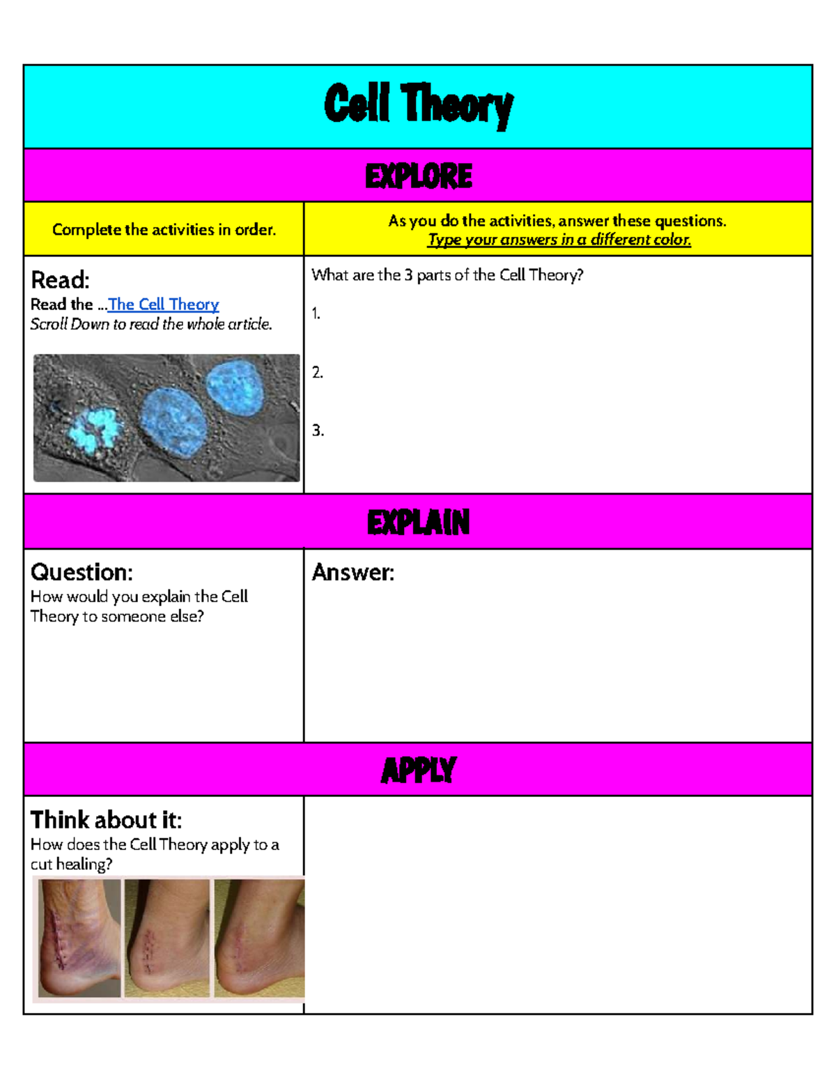 DNA Word Search Answer Key - Interactive Activity Guide - Studocu