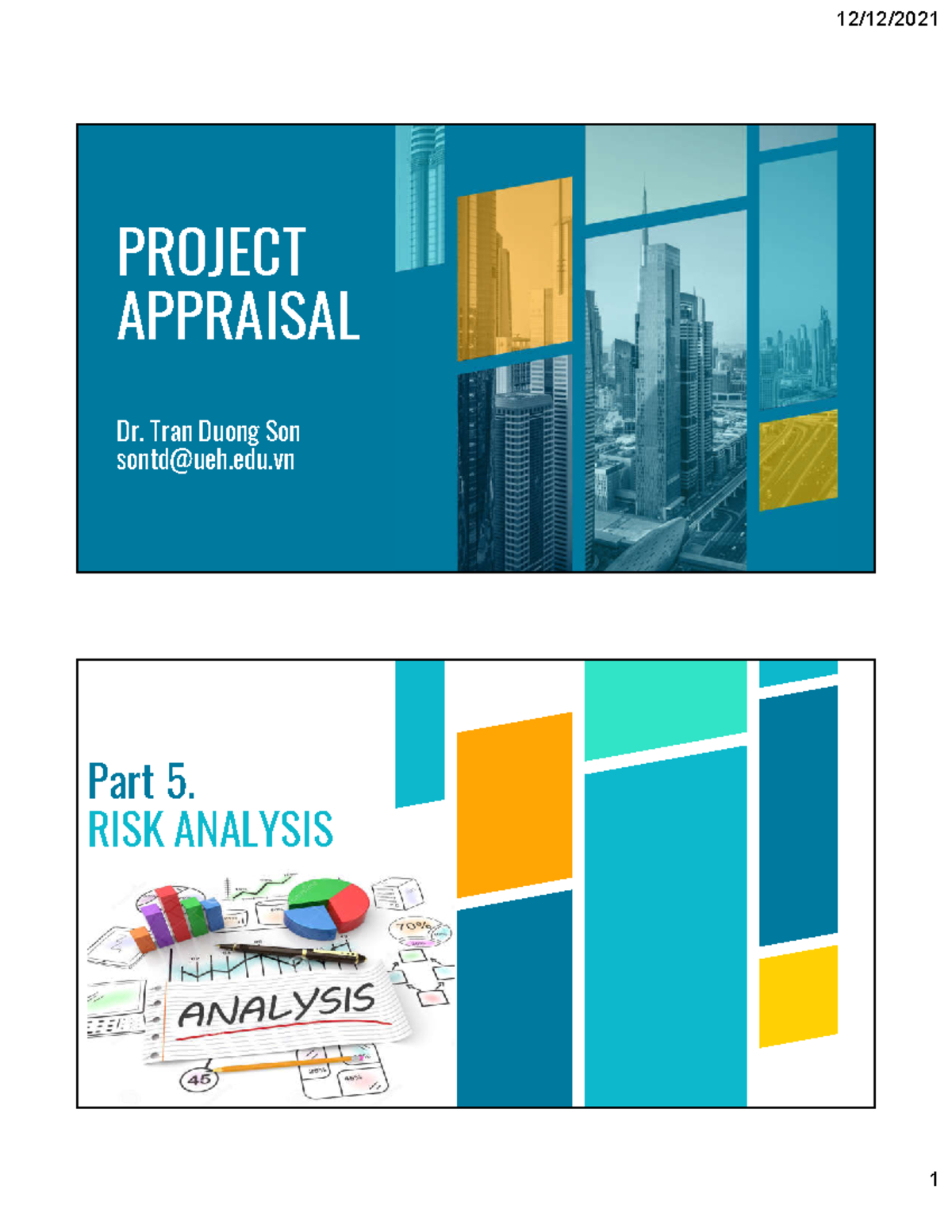 PROJECT APPRAISAL 2S: Part 5 - Risk Analysis Insights - Studocu