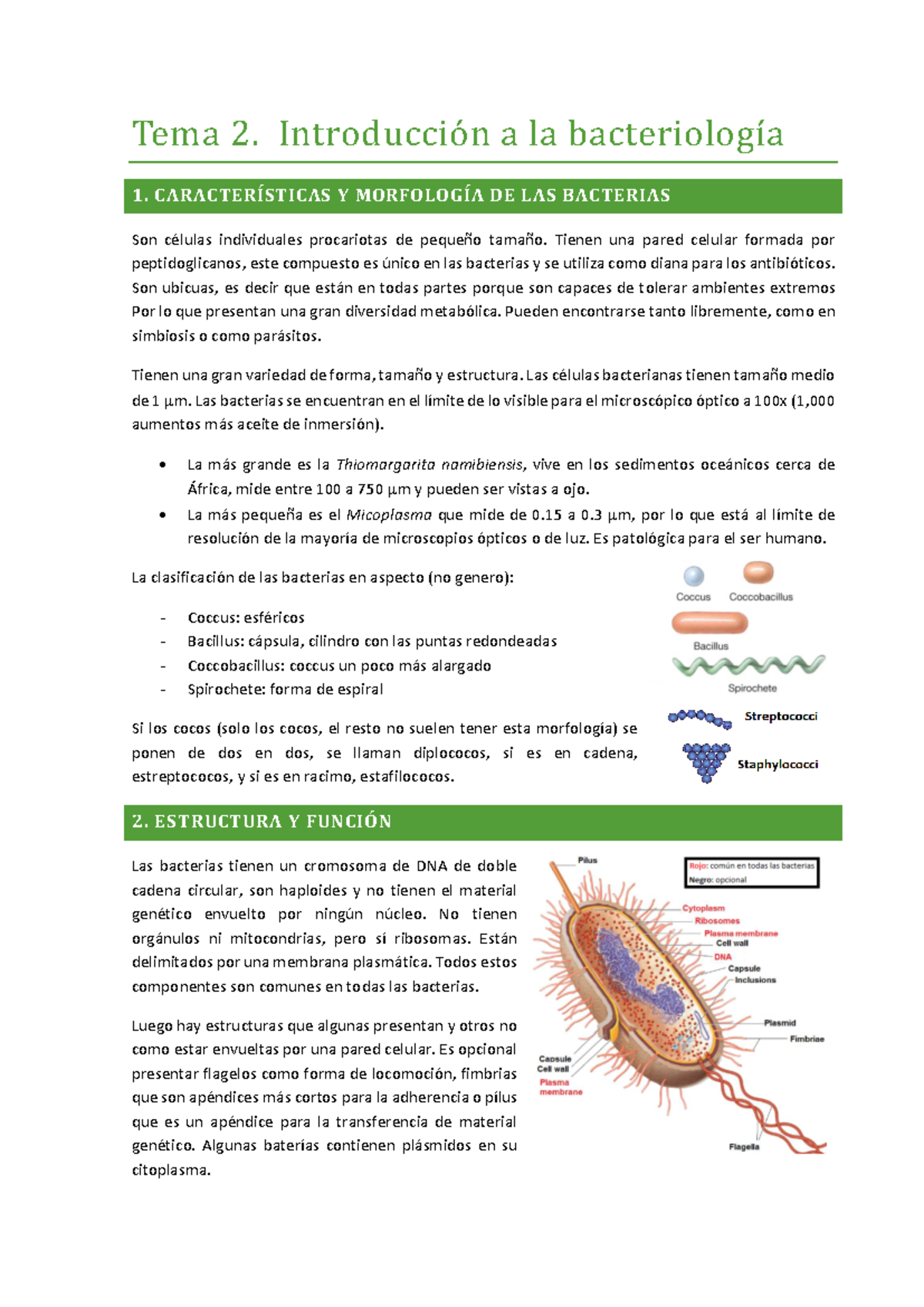 Tema 2: Introducción a la Bacteriología - Estructura y Funciones de las Bacterias - Document Preview