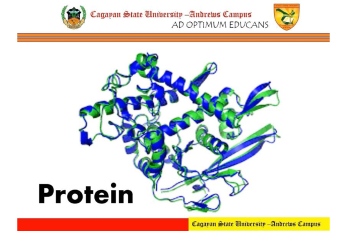 Proteins and Their Functions: A Comprehensive Study (MOLBIO) - Studocu