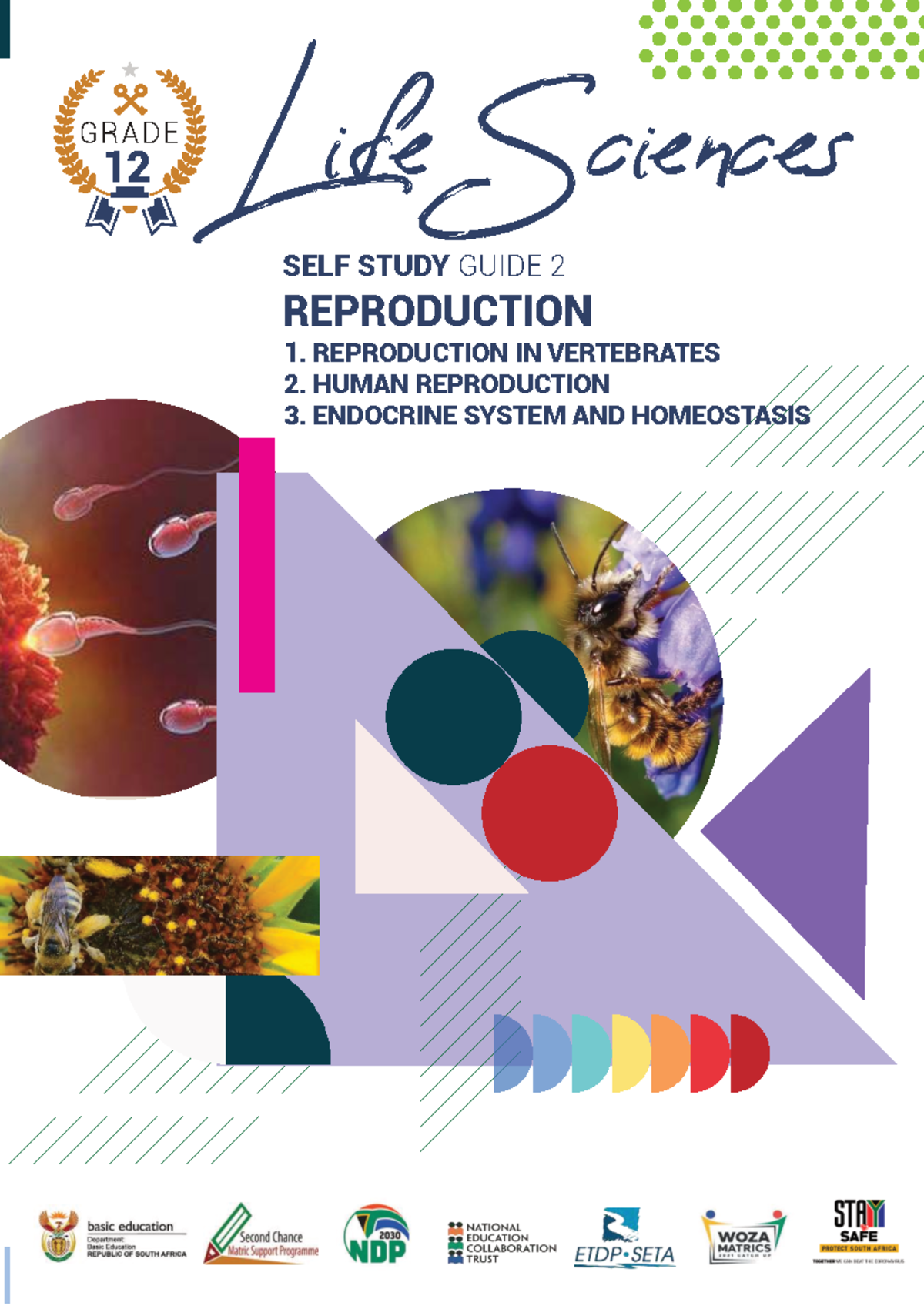 Life Sciences GRAD E 12 Self Study Guide: Reproduction & Endocrine ...