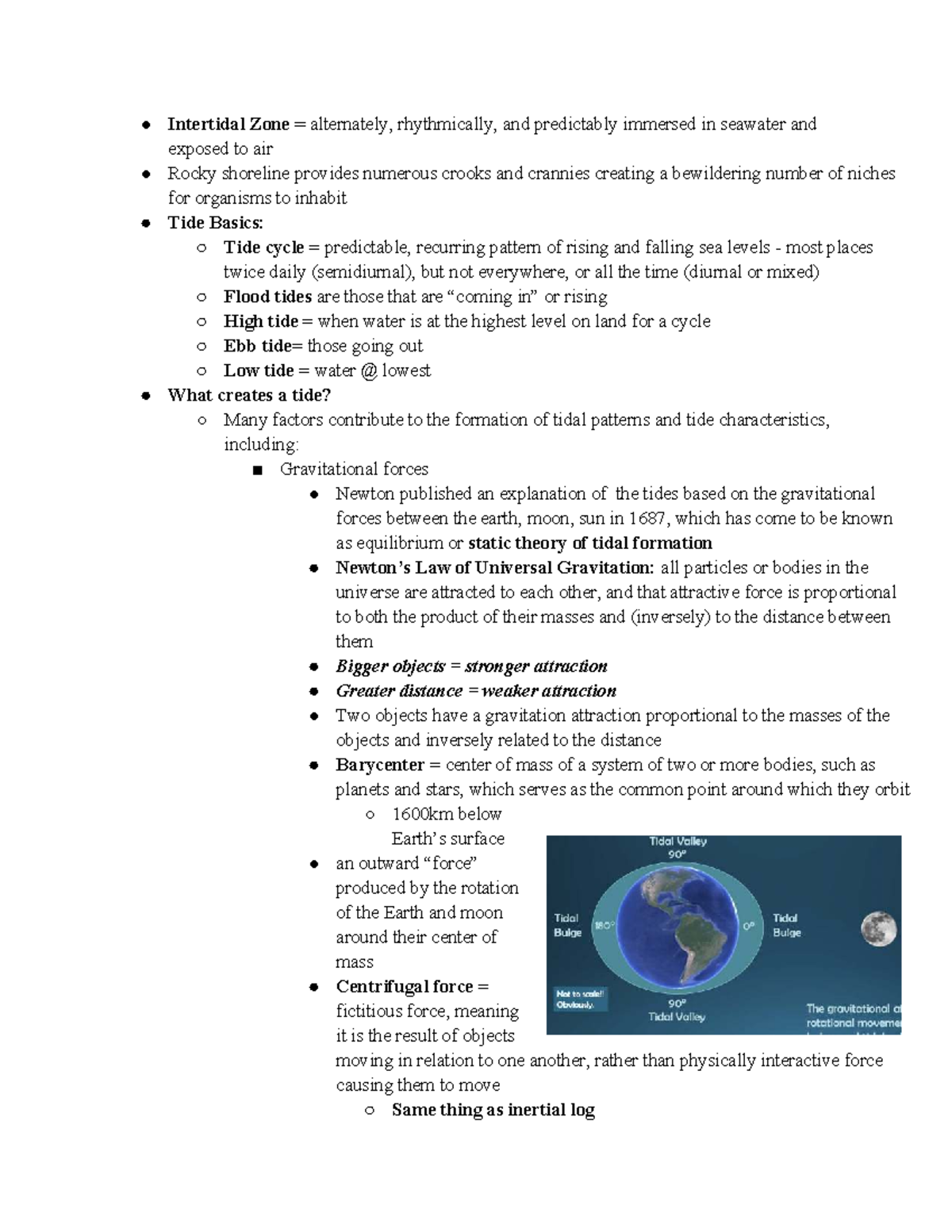 Understanding Tides and Their Patterns: A Comprehensive Overview (BIO ...