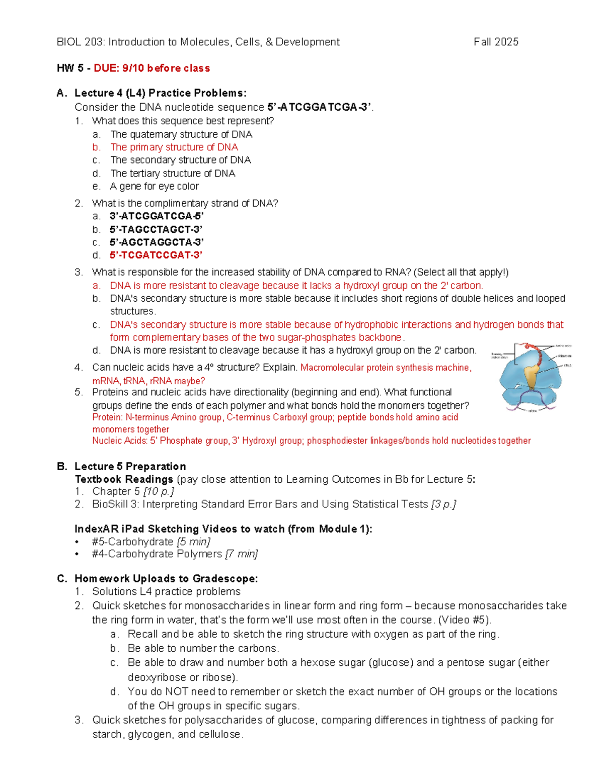 BIOL 203: Lecture 5 Prep & Practice Problems for Fall 2025 - Studocu