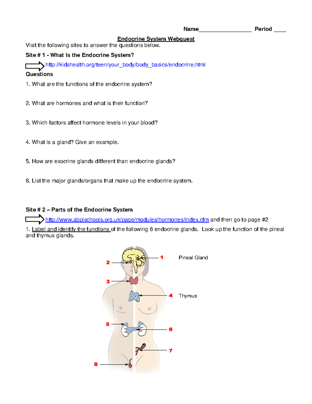Webquest: Understanding the Endocrine System for Bio 101 - Studocu