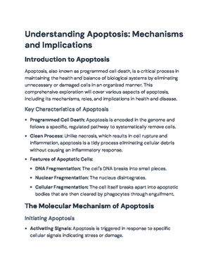 Cancer Biology and Signaling Pathways Overview: Key Mechanisms ...
