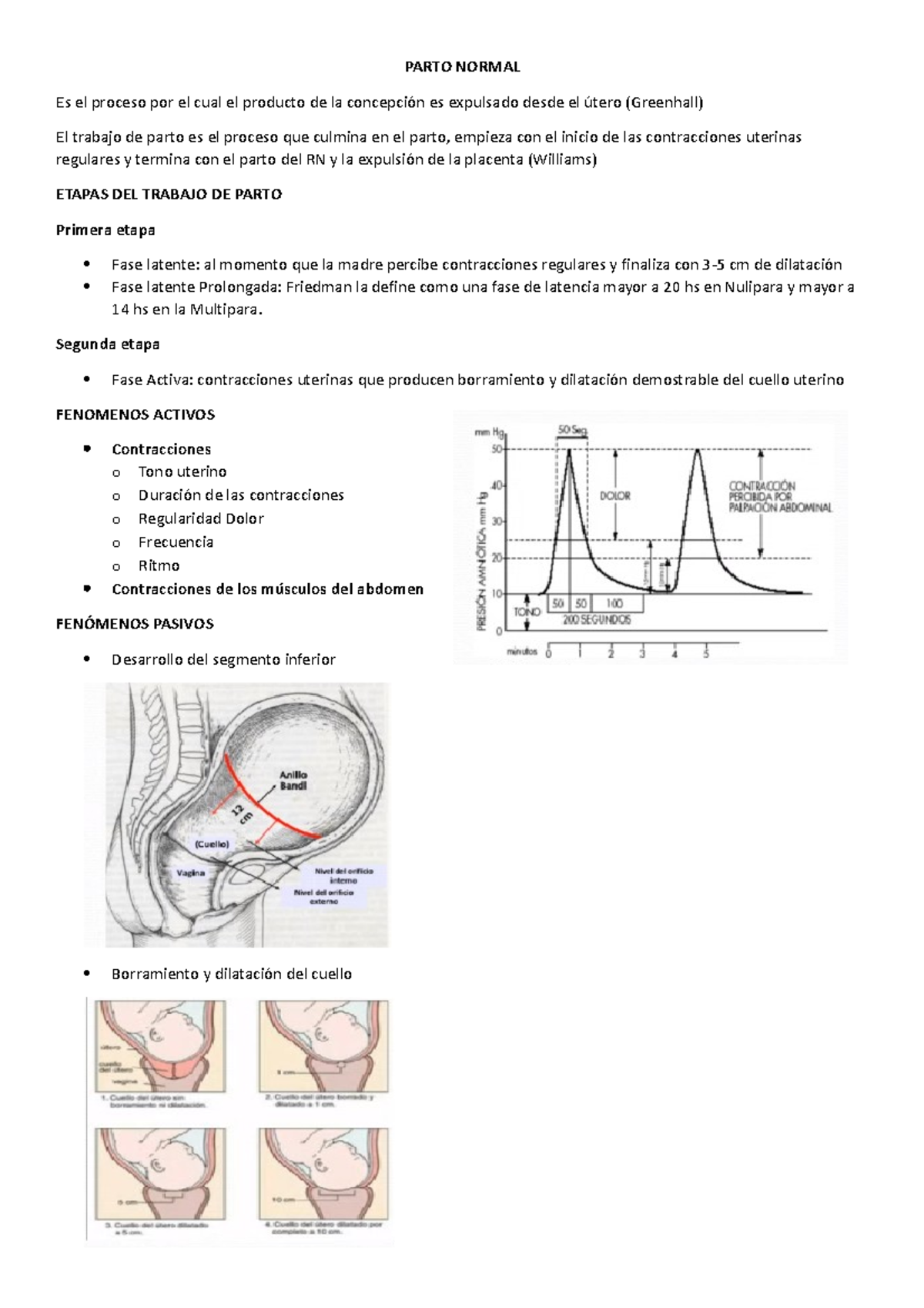 Guía de Estudio: Parto Normal y Etapas del Trabajo de Parto - Document Preview