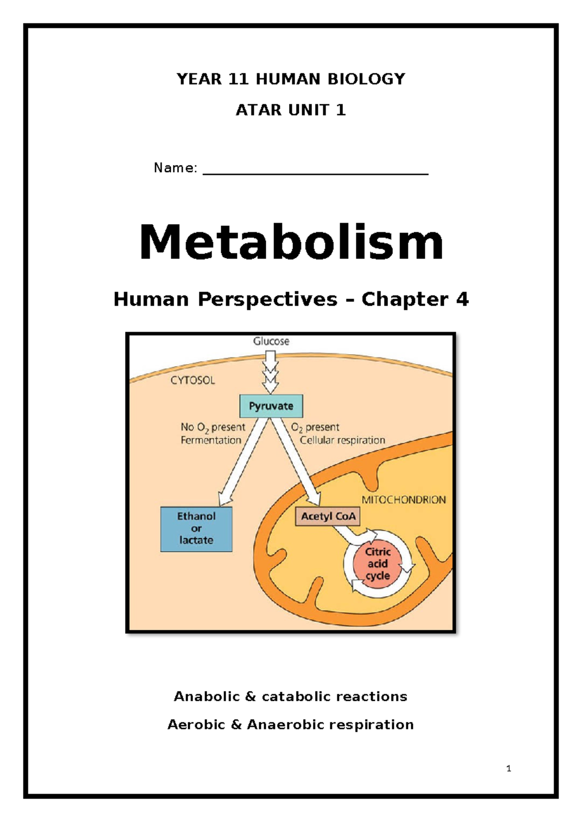 YEAR 11 HUMAN BIOLOGY ATAR UNIT 1: Metabolism Workbook - Studocu