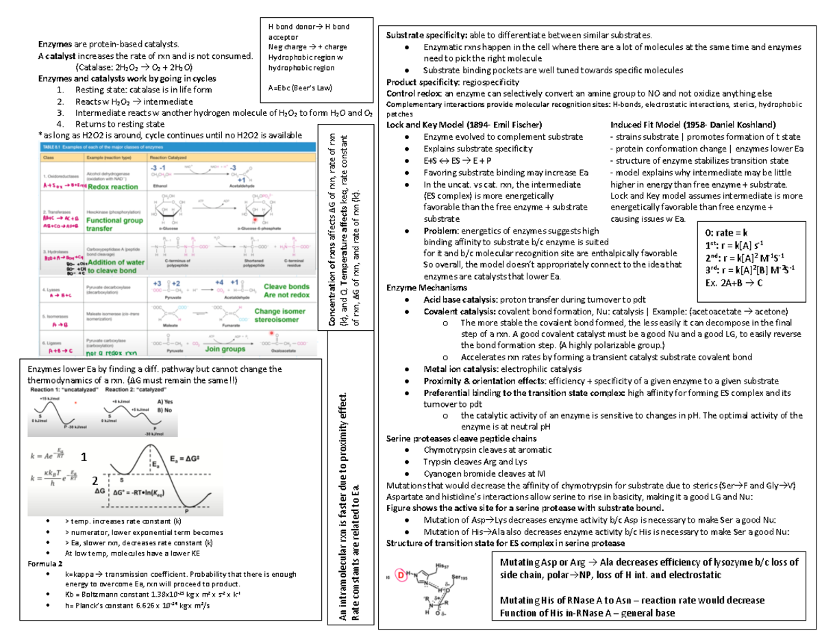 Biochemistry Exam 3 Cheat Sheet: Key Concepts & Enzymatic Mechanisms ...