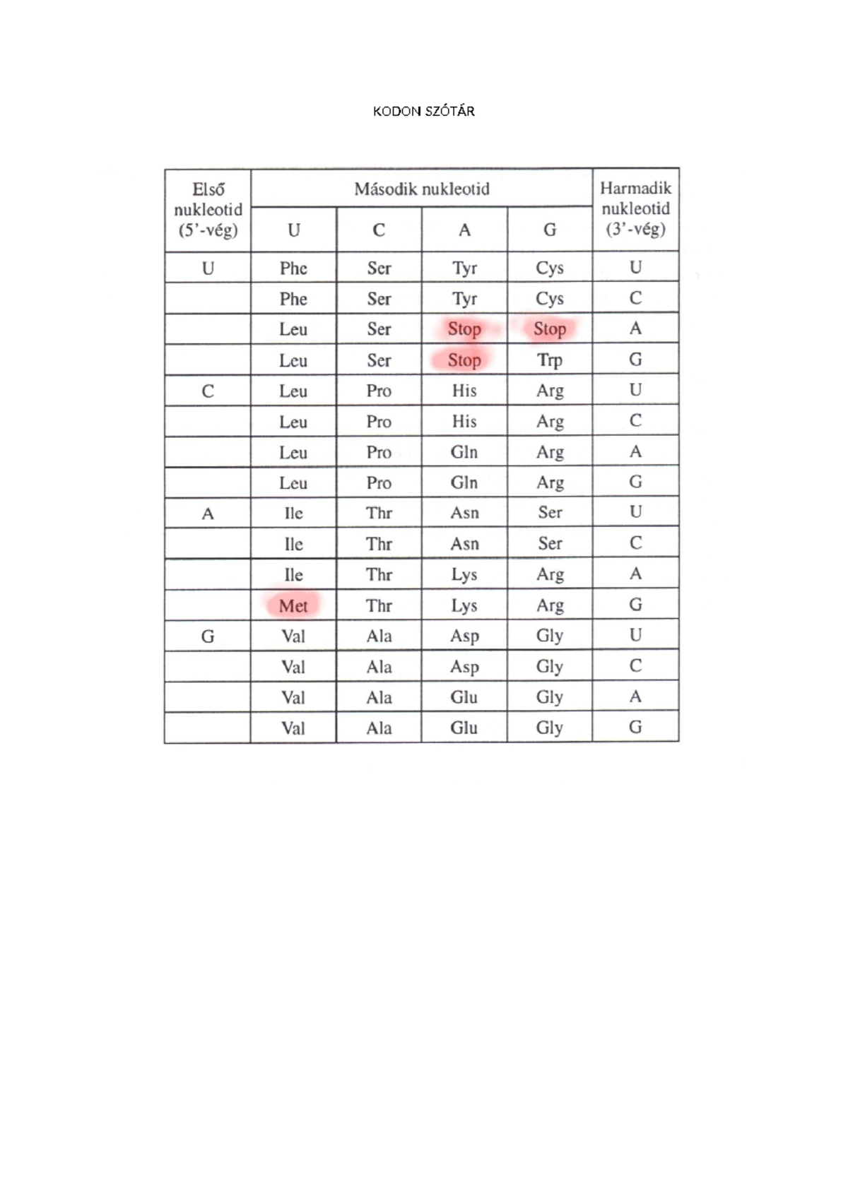 KODON 101: Comprehensive Codon Table and Definitions - Studocu