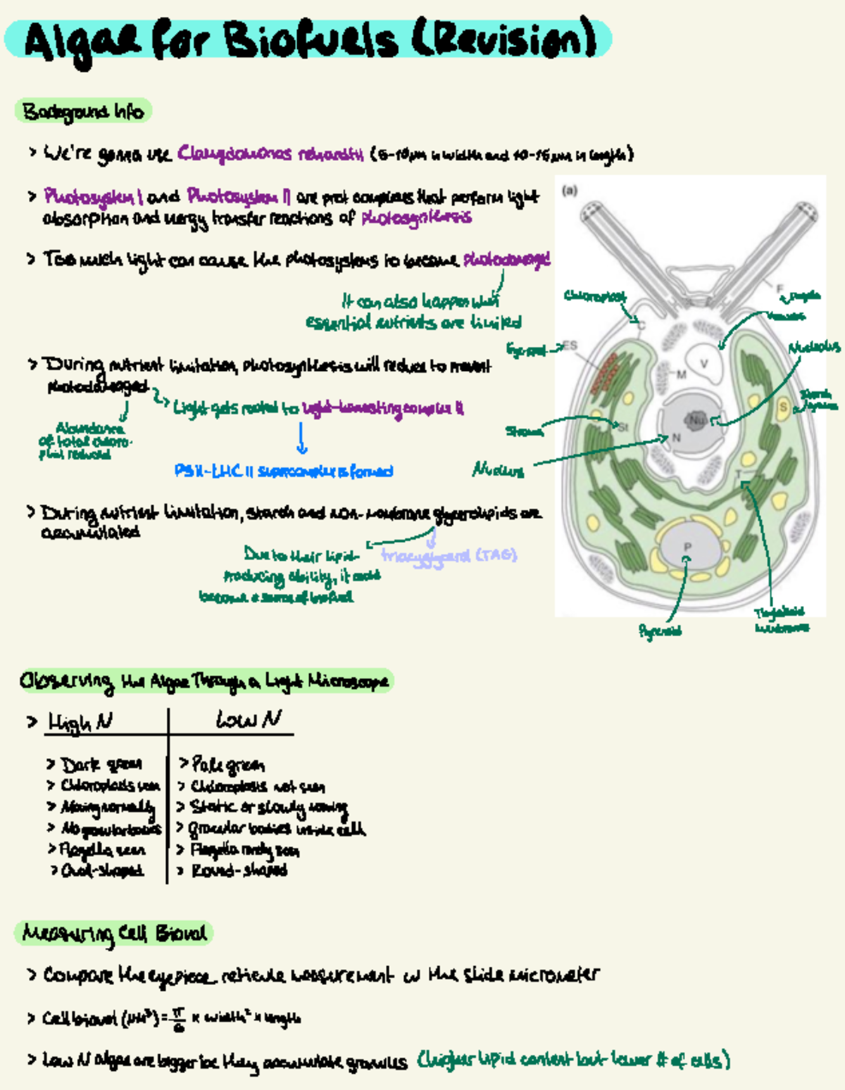 Lab Science Online Practical 2: Algae in Biofuel Production Notes - Studocu