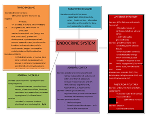 Endocrine Mnemonics for easy memory - These MNEMONICS will be useful ...