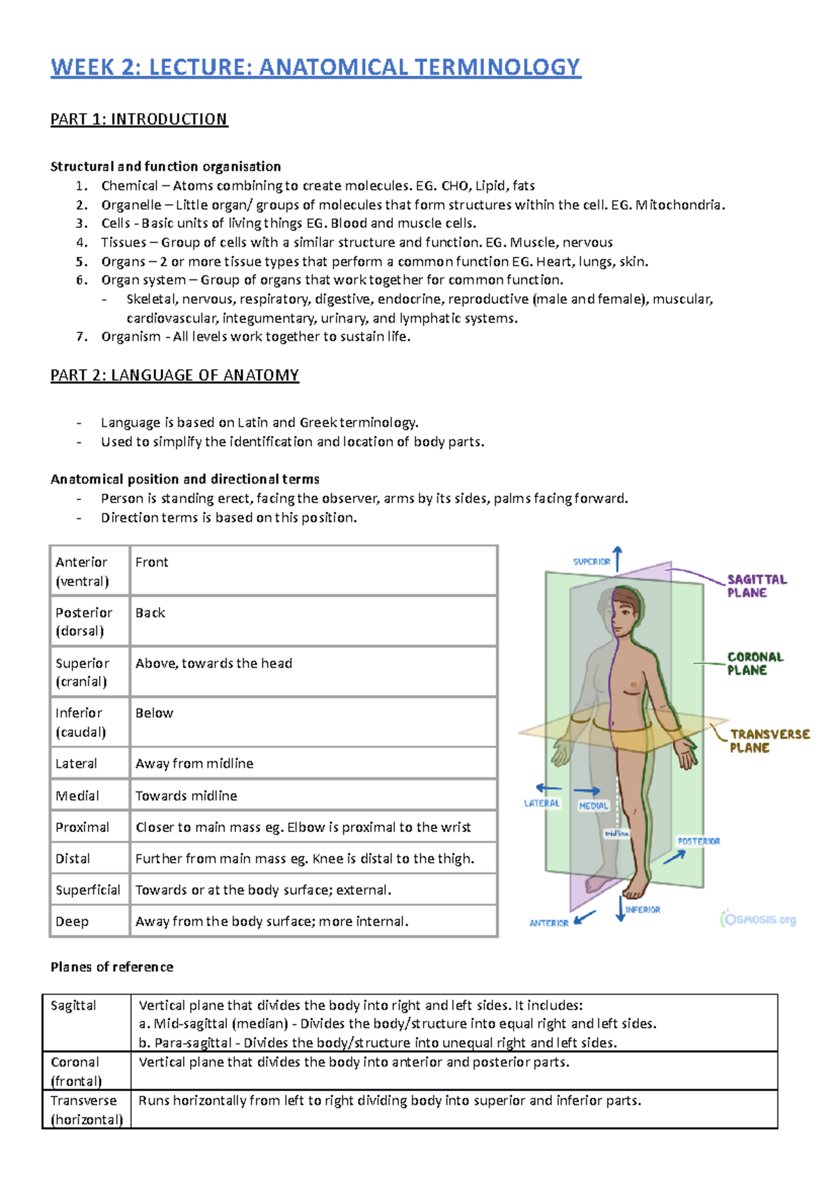 Structural Anatomy Lectures: Key Concepts and Terminology Overview ...