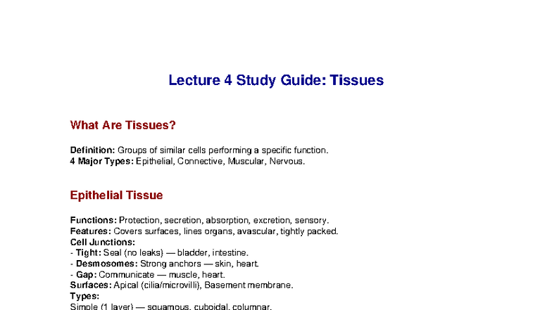 Lecture 4 Study Guide: Overview of Tissues and Their Functions - Studocu