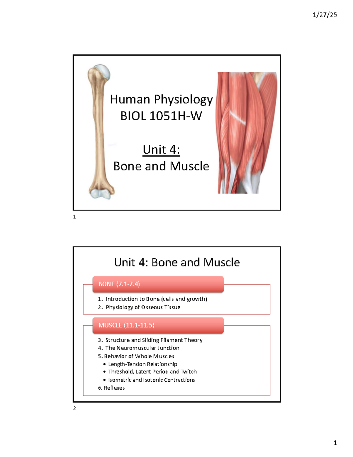 Unit 4: Bone and Muscle - Overview of Physiology and Functions - Human ...