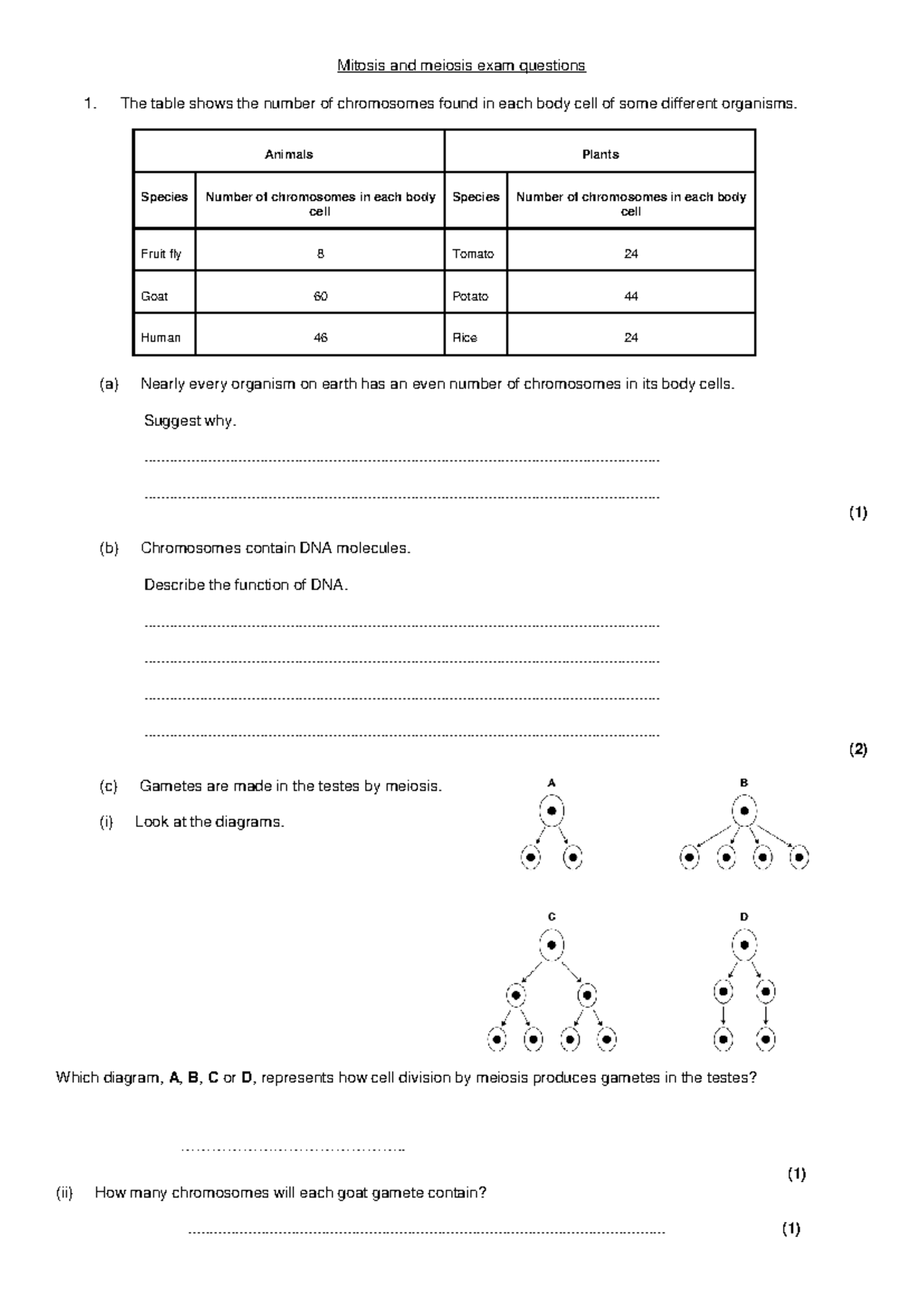 1 - Mitosis and Meiosis Exam Questions for Biology 101 - Studocu