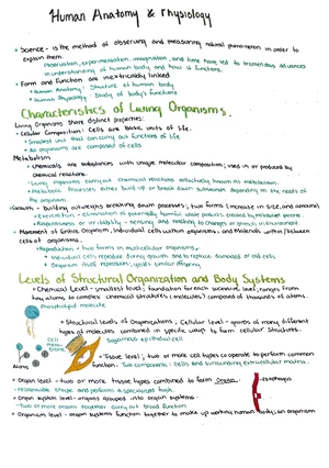 Bio 109 Final Exam Review: Anatomy & Physiology Overview - Studocu