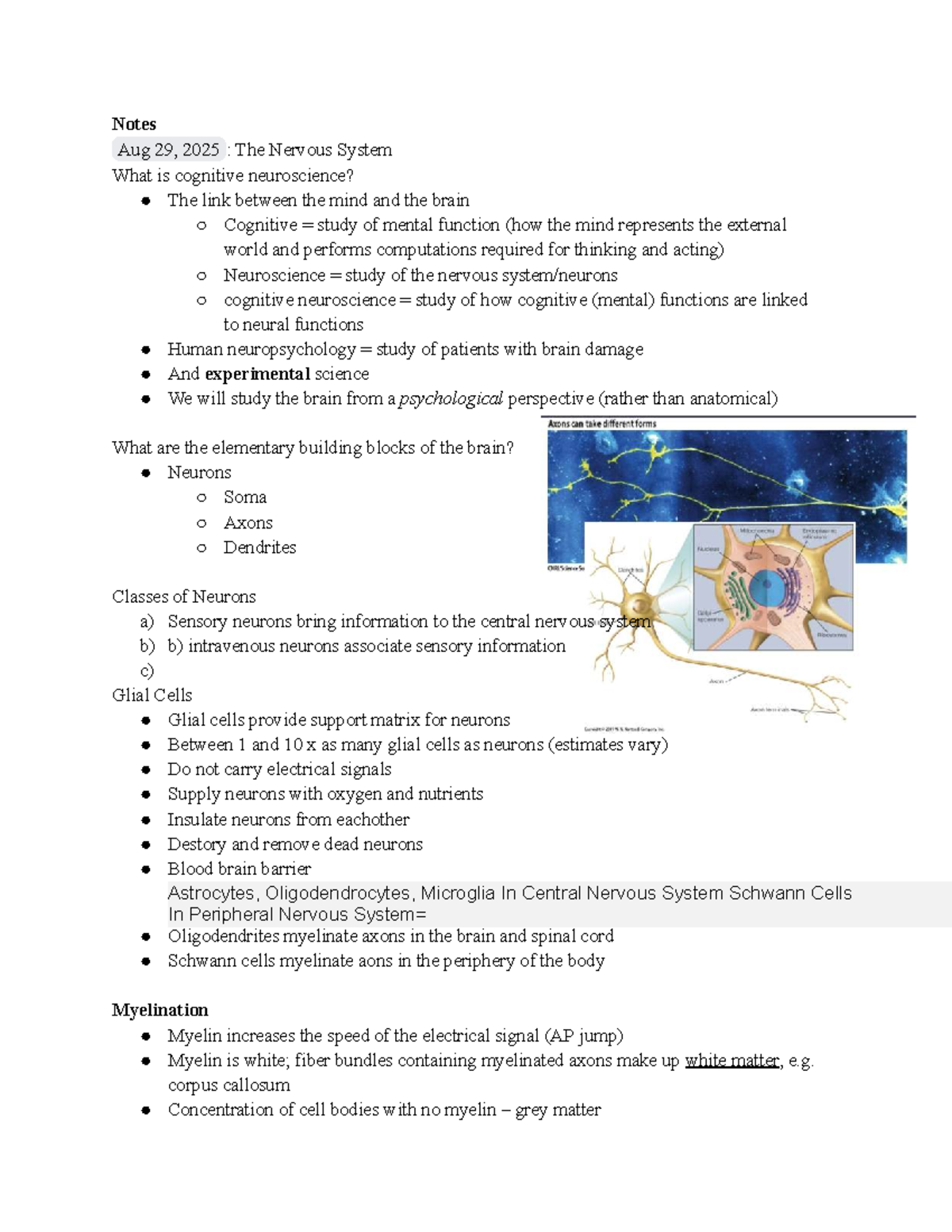 Cognitive Neuroscience: PSYC 4155 Lecture Notes on Neural Mechanisms ...