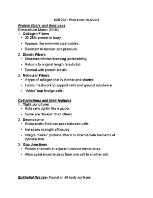 SCB 203 Microscope - LAB WRITTEN EXAM 1 - Parts of the Microscope Arm ...