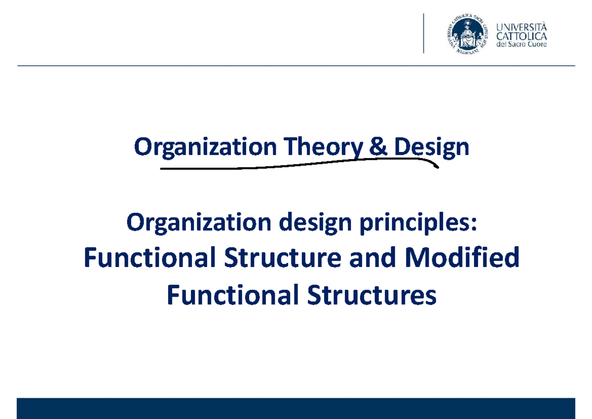 HEALTHPRO CASE (Part 1) - Org Design Principles & Functional Structures ...