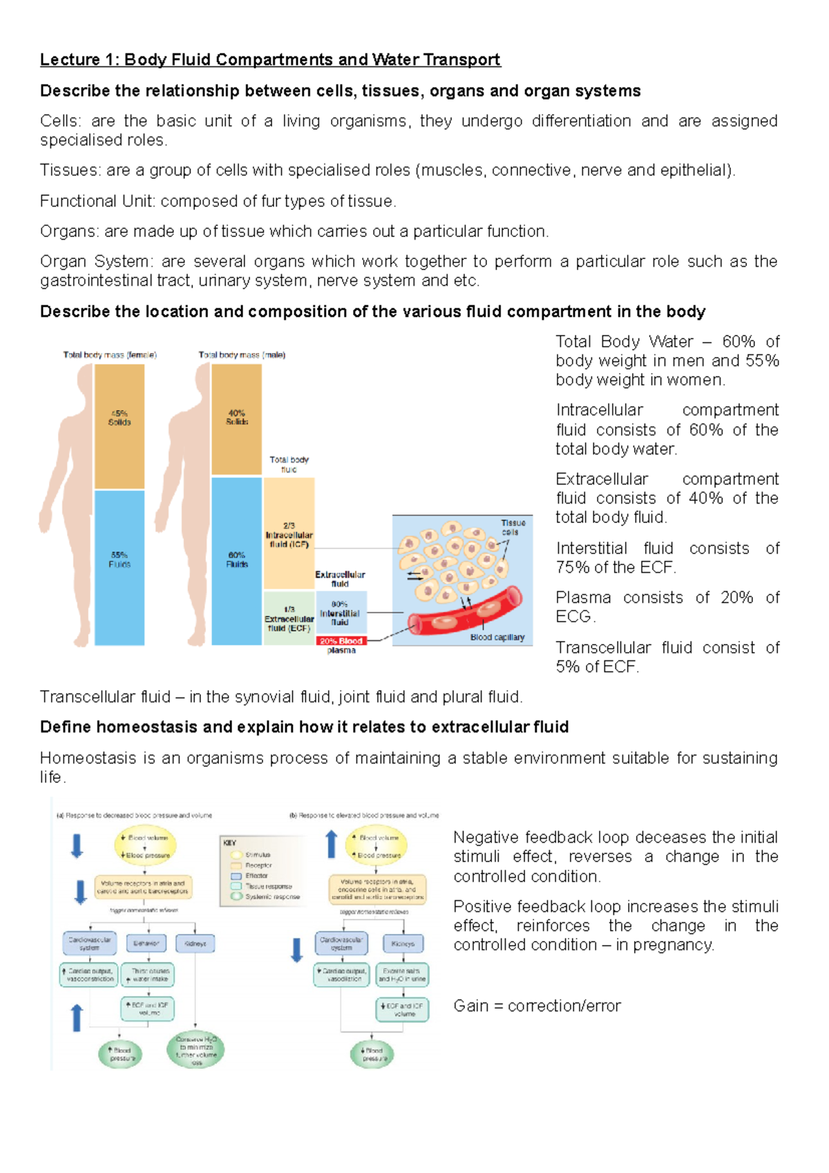 Medsci 205 Lecture Notes - Lecture 1: Body Fluid Compartments and Water ...