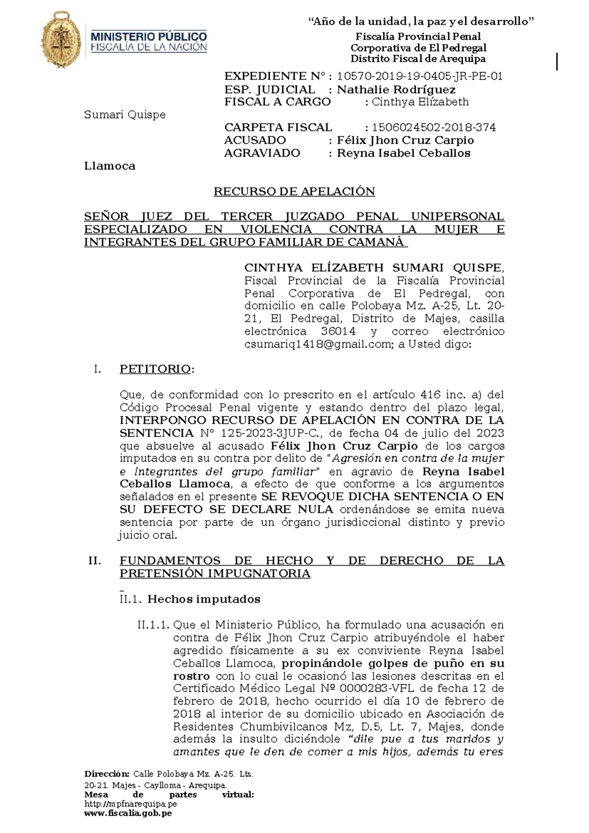 Apelación de Sentencia en Caso de Violencia Familiar - 374-2018 - Document Preview