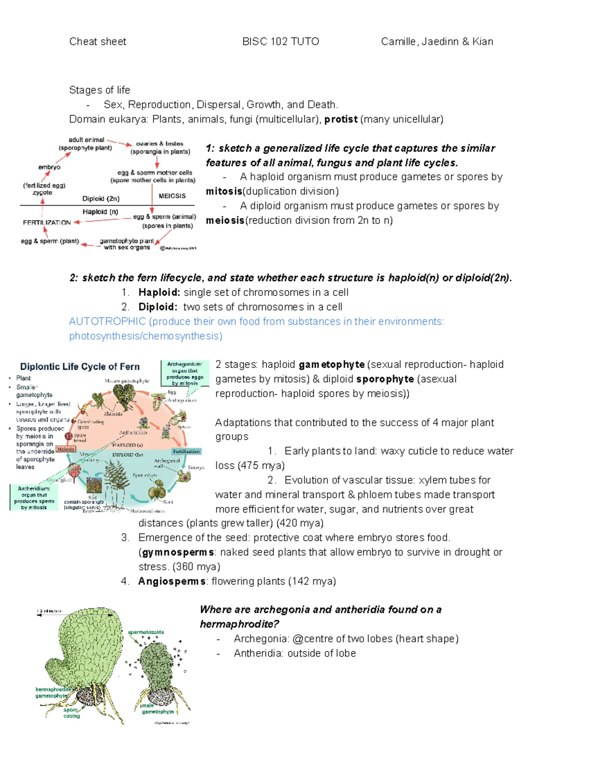 BISC102 Lab Manual: Mastering Microscopy Techniques - Studocu