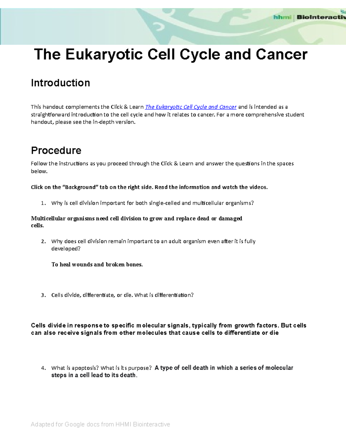 Copy of CMA Cell Cycle Overview-Student - The Eukaryotic Cell 