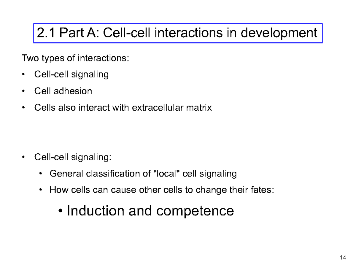 Cell-Cell Interactions in Development: Induction & Signaling Mechanisms ...