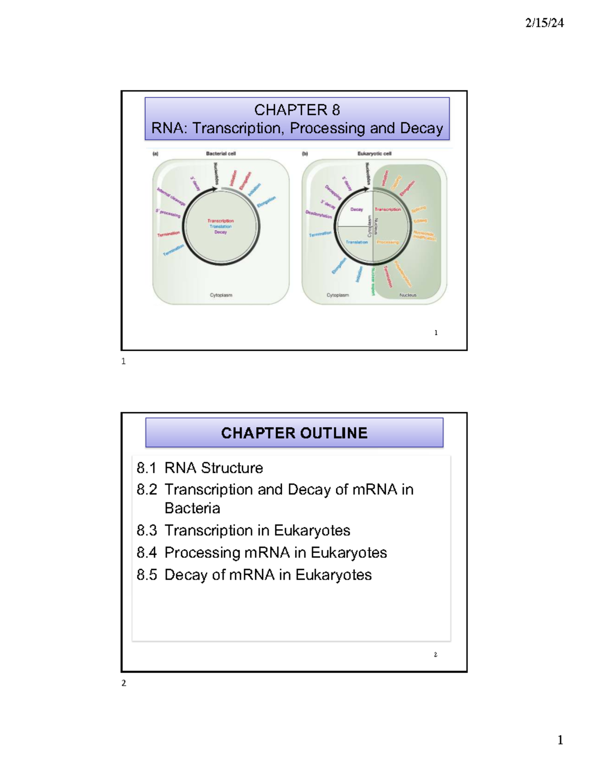 RNA: Transcription, Processing, and Decay - Chapter 8 Lecture Notes ...