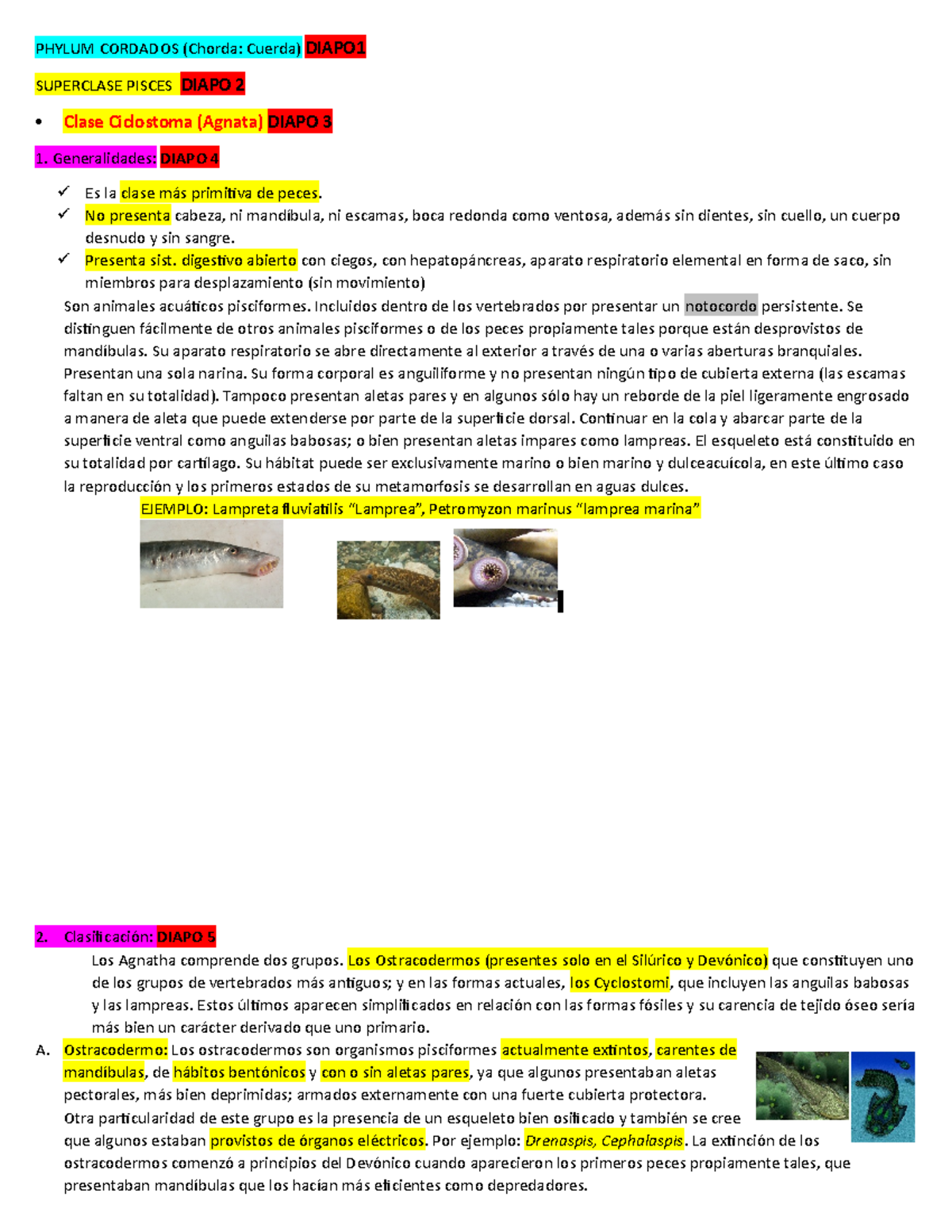 Introducción a Craniata: Myxini y Lampreas | PDF | Vertebrados | Esqueleto, image size:1200x1553