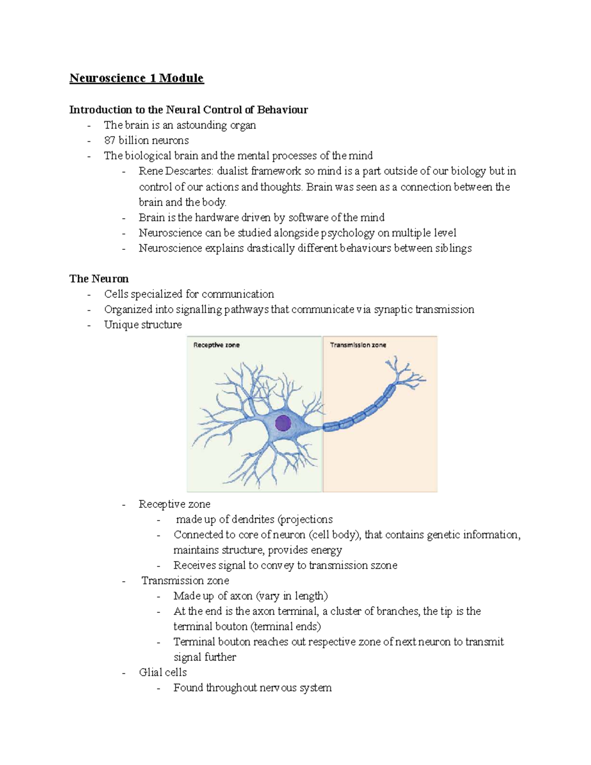 Neuroscience 1 - introduction to the neural control of behaviour notes ...