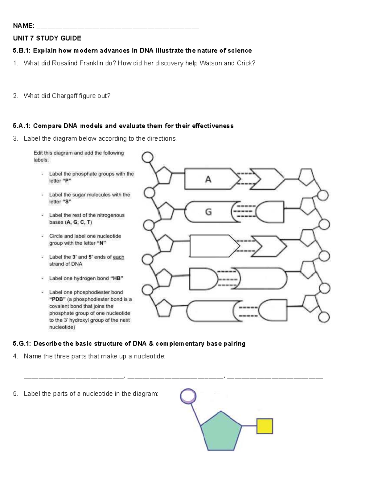 Unit 7 Study Guide: DNA Structure, Replication & Protein Synthesis ...
