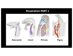 Chapter 43: The Immune System Overview and Key Mechanisms - Chapter 43 ...