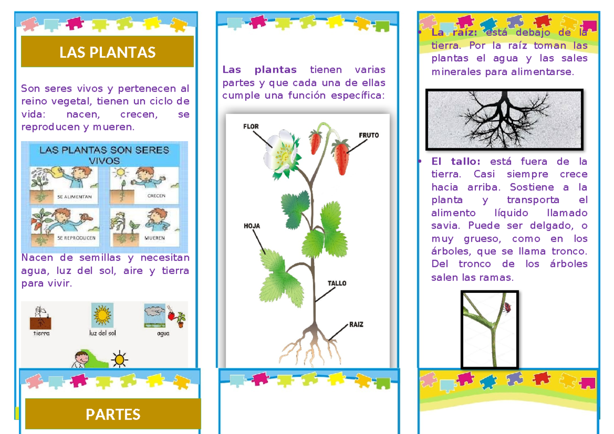 363894129 Triptico sobre las Partes de las Plantas - Document Preview