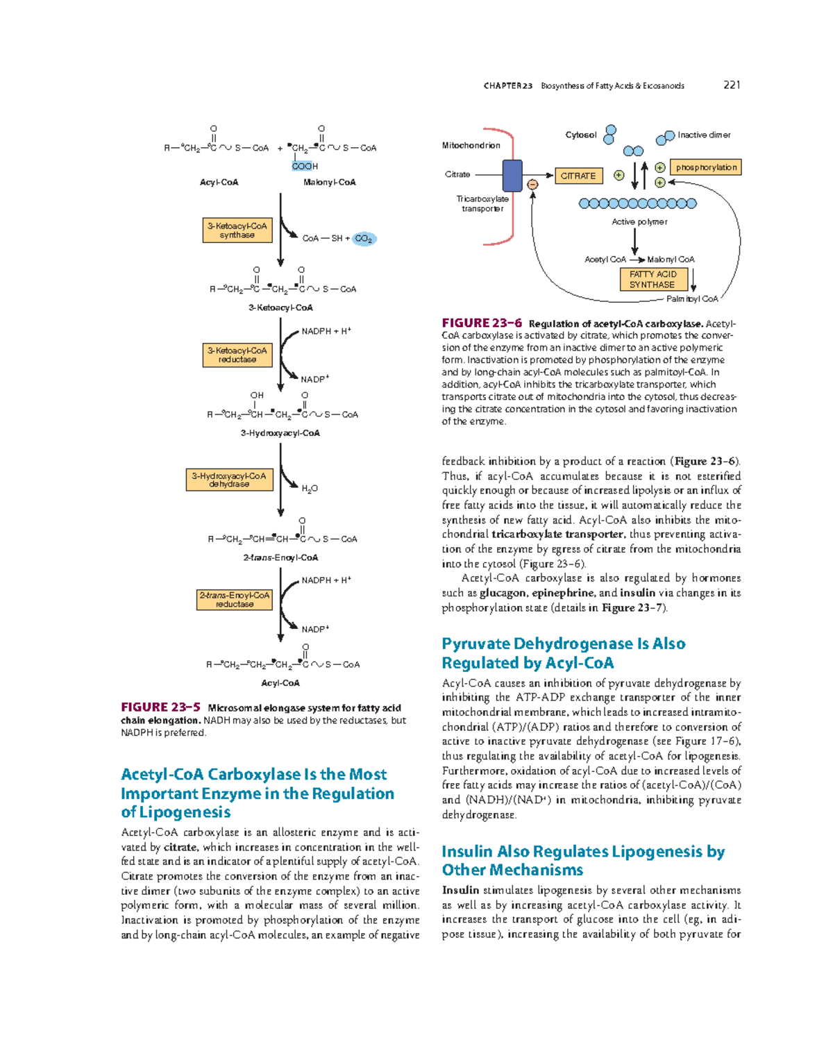 Biochemistry-2-78 - N/A - CHAPTER 23 Biosynthesis of Fatty Acids ...