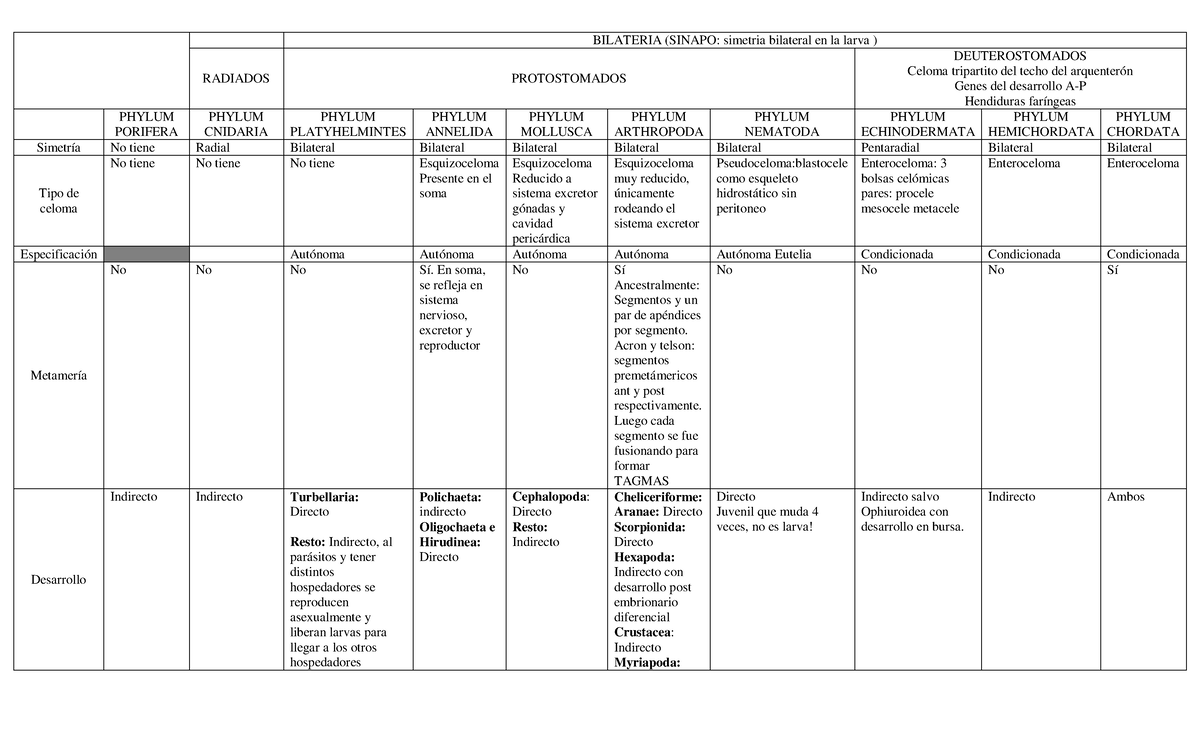 Cuadros comparativos de Phylums - BILATERIA (SINAPO: simetria bilateral ...